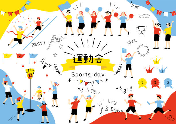 对号